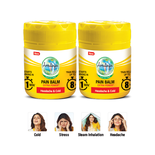 Amrutanjan Pain Balm Extra Power