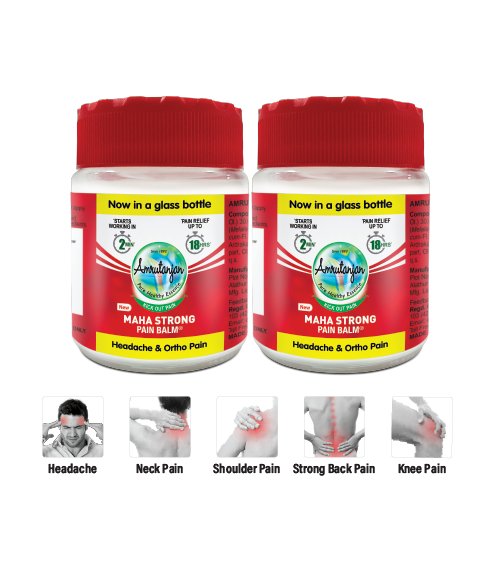 Amrutanjan New Maha Strong Pain Balm